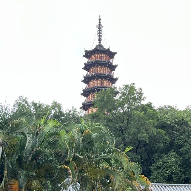 打卡深圳龍華公園