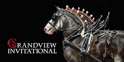 Grandview Invitational 2024 | Florida Horse Park