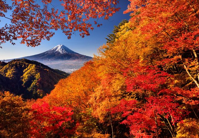 【2024日本楓葉季】東京人氣賞楓景點推介：奧多摩湖、高尾山、昭和紀念公園 | 東京