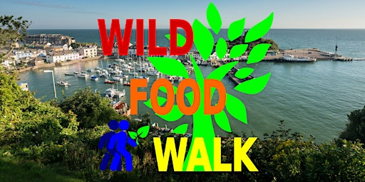 May Ilfracombe (North Devon) Coastal Wild Food Foraging  Walk. | Main entrance to Landmark Theatre