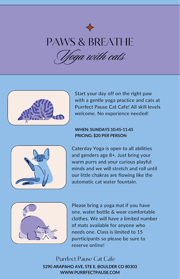 Paws & Breathe Yoga with Cats! | Purrfect Pause Cat Cafe