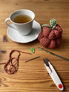 Tea Talks & Tiny Stitches : Plush Pumpkins | San Diego Made Factory