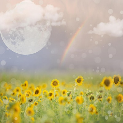 Youth Mental Health First Aid | Ridgedale Library - Hennepin County Library