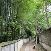 ร้านคาเฟ่ลับๆในป่า บรรยากาศธรรมชาติ
