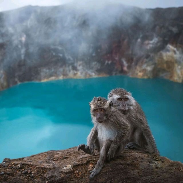 KELIMUTU LAKE NATIONAL PARK  