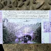 崎頂鐵道文化公園 🖌 在有二戰遺跡的子母隧道中拍剪影照
