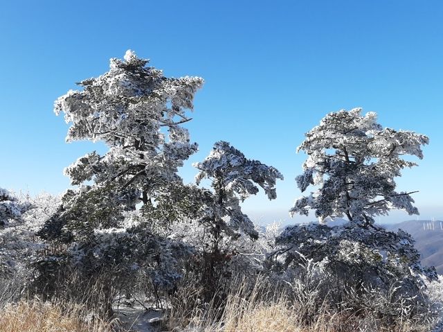 태백산 국립공원🏞