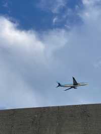 [제주 제주시] 공항 근처 추천 코스