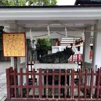 【東京】東京で藤の花といえばの名所