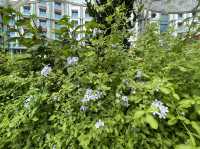 Greenery at Resorts World Sentosa