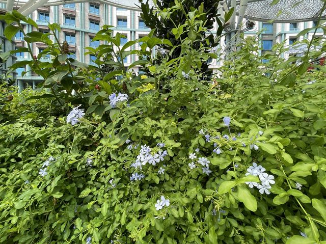 Greenery at Resorts World Sentosa