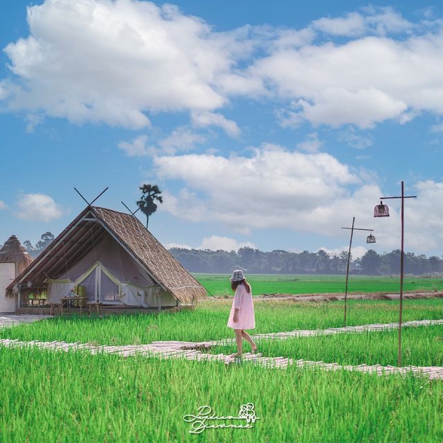 กำเงิน 1,000 มานอนโฮมสเตย์ที่อุทัยธานี