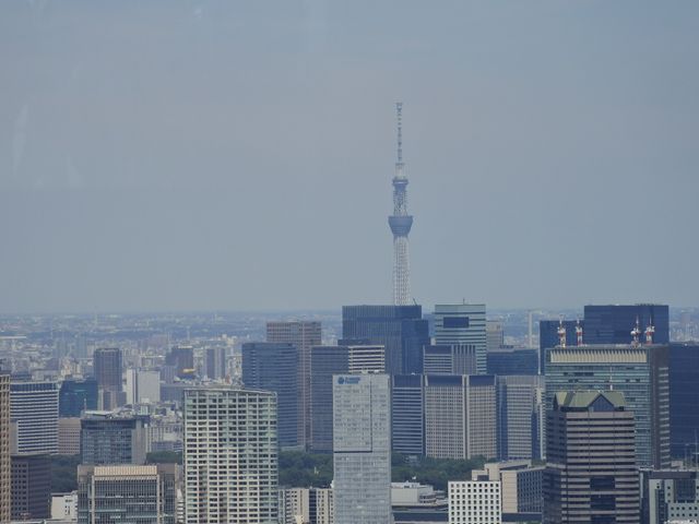 渋谷地上46階の景色