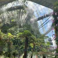 Gardens by the bay