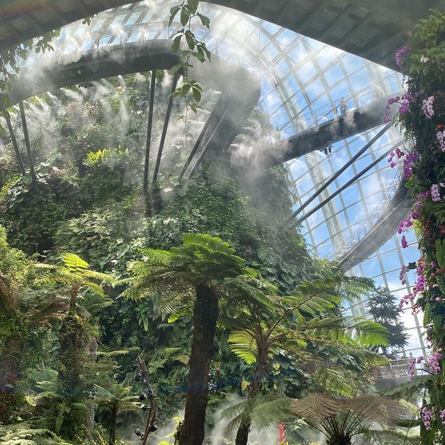Gardens by the bay