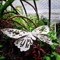 Butterfly Garden In An Airport