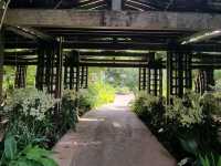 Nature Tranquil 