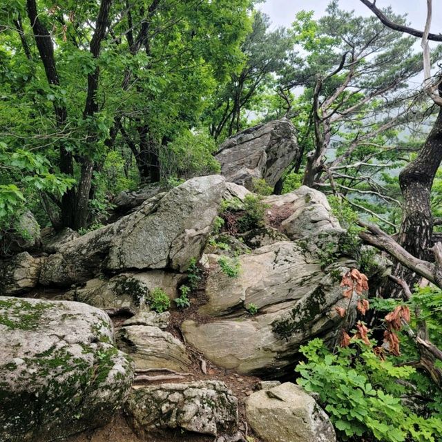 가평여행 축령산 등산