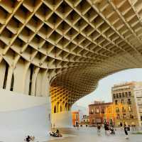 Setas de Sevilla - Magical Hangouts