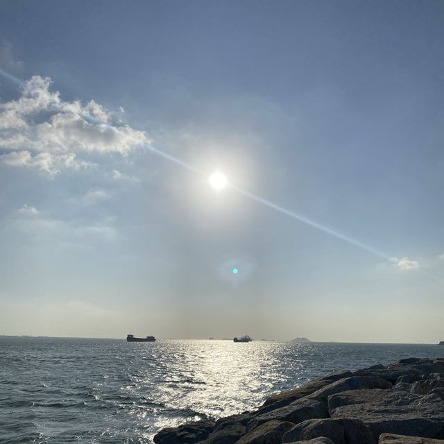 香港新界西北半日遊 — 荃灣、屯赤、下白泥