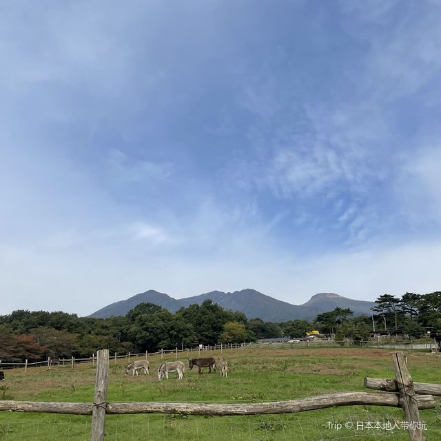 秋風に吹かれて黄昏れる