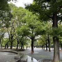 Relaxing Stroll at Ueno Park