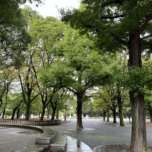 Relaxing Stroll at Ueno Park
