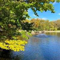 Autumn park walks