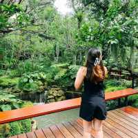 คาเฟ่ฟีลสวนเปิดใหม่ย่านรามอินทรา