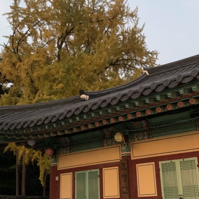 서울 근교에서 가을을 즐길 수 있는 곳 화성 용주사 