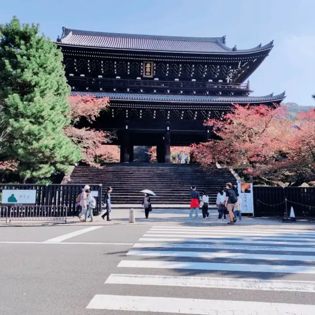 知恩院から白川…そして円山公園のいそべ