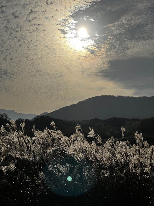 엄청난 규모의 산책하기 좋은 공원