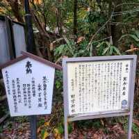 良縁・子宝・学問【野宮神社⛩️】✨