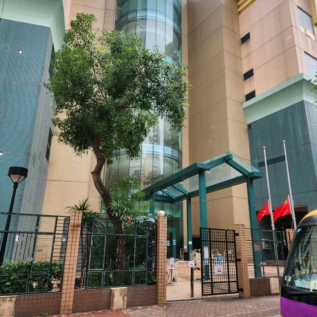 平價半自助午餐
