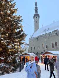 One of the best Christmas markets in Europe!