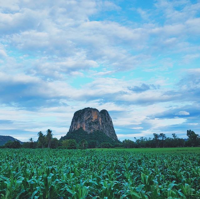 จุดชมวิว 📸 บ้านชายเขา สวิตเซอร์แลนด์เมืองไทย