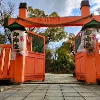 【大阪】大阪最古の神社⛩️