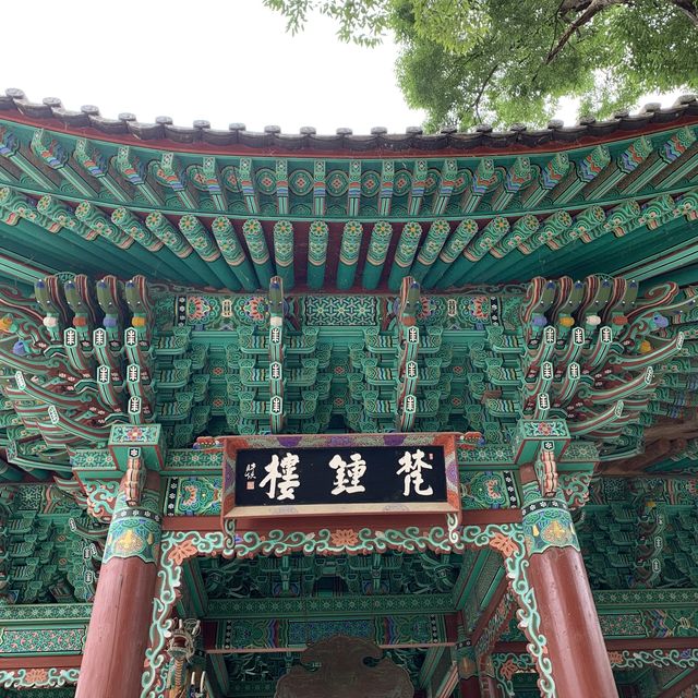 [공주 고즈넉한 사찰, 마곡사]