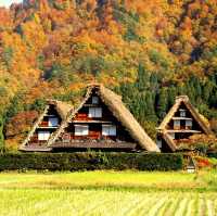 Shirakawago Japan