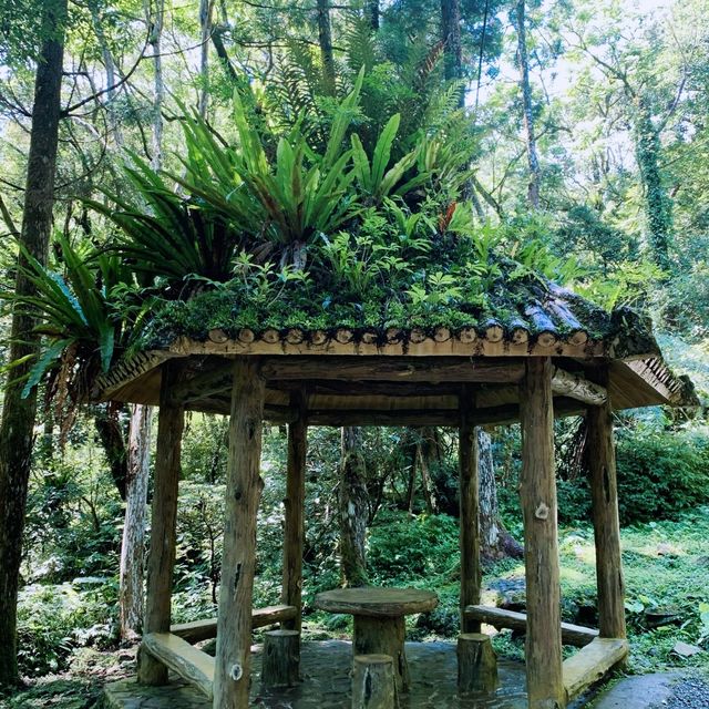 滿月圓森林遊樂區📍新北三峽登山步道