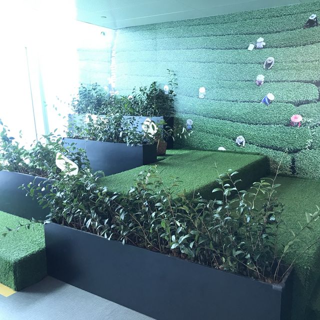 從高處遠眺台北迷你房屋，尋找藏身台北的秘密-101眺望台