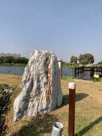 嘉義限定必拍美景｜小葉欖仁綠色隧道，極美鄉村田園景色超紓壓