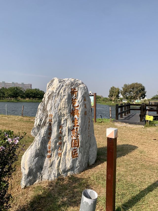 嘉義限定必拍美景｜小葉欖仁綠色隧道，極美鄉村田園景色超紓壓