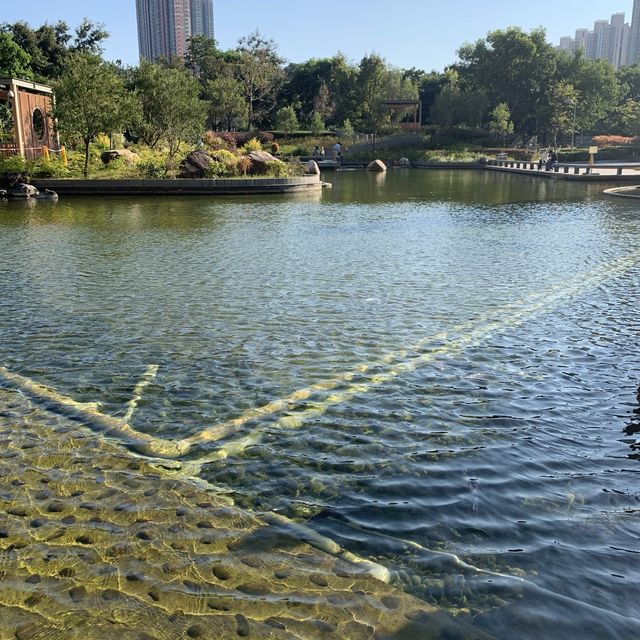 鬧中取靜坑口文曲里公園