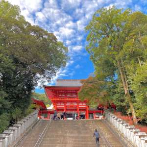 近江神宮、ちはやふる