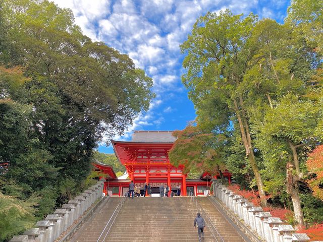 近江神宮、ちはやふる