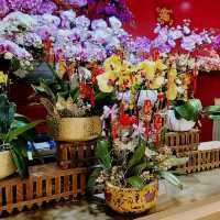 新春🎄好去處 ～ 青衣城 「新春年貨大街」 