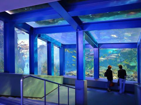 三重県【鳥羽水族館】 | Trip.com 鳥羽