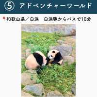 【和歌山】行ってよかった和歌山の観光地7選