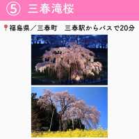 この春行きたい！お花見スポット7選
